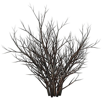 포토 JPG 해외이미지 나무 식물 계절 백그라운드 겨울 일러스트 자연 건조 사람없음 그래픽 3D 환경 사막 흰색 나뭇가지 죽음 오브젝트 싱글 만들기 고립 해외202004 해외포토 컬러 모션 디지털합성 생태계 파일형식 이미지허브