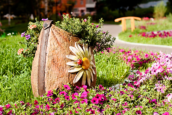 포토 JPG 해외이미지 식물 1 꽃 화분 곤충 자연 사람없음 야외 장식 가로 빨간색 초록색 노란색 금속 보라색 흰색 벌레 큼 제비꽃 딱정벌레 무당벌레 화단 인공 캐모마일 해외202004 해외포토 동물 컬러 재질 크기 허브 생태계 파일형식 이미지허브