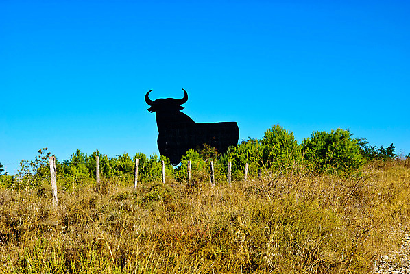포토 JPG 해외이미지 자연 산 풍경 사람없음 사막 스페인 황소 해외202004 해외포토 유럽 소 생태계 파일형식 이미지허브