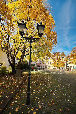 포토 JPG 해외이미지 나무 계절 공원 백그라운드 단풍 잎 가로등 오렌지 자연 유리 거리 풍경 사람없음 야외 빨간색 빛 컬러풀 노란색 환경 맑음 검은색 가을 등불 램프 도시 복고 장면 타운 옛날 해외202004 해외포토 식물 공공시설 컬러 과일 재질 날씨 조명 생태계 파일형식 이미지허브