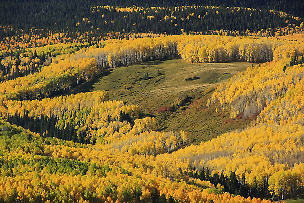포토 JPG 해외이미지 나무 도로 잎 오렌지 자연 하늘 산 풍경 사람없음 야외 초록색 파란색 컬러풀 노란색 미국 가을 소나무 개울 황무지 숲 먼지 지역 나누기 절정 콜로라도 해외202004 해외포토 식물 계절 길 컬러 북아메리카 과일 교통시설 강 생태계 파일형식 이미지허브