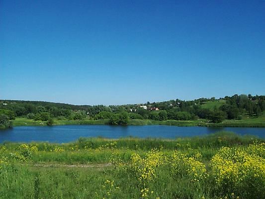 포토 JPG 해외이미지 나무 계절 공원 호수 여행 백그라운드 자연 하늘 파노라마 풍경 사람없음 초록색 물 여름 파란색 강 컬러풀 봄 숲 장면 내추럴 해외202004 해외포토 자연요소 식물 공공시설 컬러 촬영기법 생태계 파일형식 이미지허브