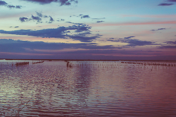 포토 JPG 해외이미지 구름 호수 모래 바다 백그라운드 밭 자연 갈매기 하늘 휴가 파노라마 풍경 사람없음 물 여름 파란색 빛 햇빛 태양 일출 침묵 일몰 수확 광선 흰색 저녁 큼 속도 복고 내추럴 넘어짐 파스텔톤 필터 수평선 해외202004 해외포토 자연요소 계절 컬러 농업 모션 조류 촬영기법 노을 소리 야간 크기 생태계 파일형식 이미지허브