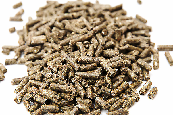 포토 JPG 해외이미지 동물 음식 백그라운드 농업 다이어트 재료 자연 조류 건조 사람없음 갈색 쌓기 대접 맛 먹이 낟알 먹기 유기농 질감 흙더미 내추럴 고립 단백질 영양분 해외202004 해외포토 웰빙 산업 컬러 컨셉 모션 건강 흙 생태계 영양소 파일형식 더미 이미지허브