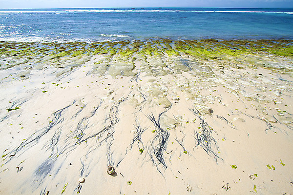 포토 JPG 해외이미지 나무 식물 모래 바다 섬 여행 백그라운드 자연 하늘 휴식 손바닥 풍경 사람없음 야외 물 여름 파란색 햇빛 태양 맑음 침묵 만 뜨거움 휴양지 발리 인도네시아 코코넛 석호 파라다이스 해외202004 해외포토 자연요소 손 계절 아시아 컬러 컨셉 과일 날씨 소리 장소 생태계 파일형식 이미지허브