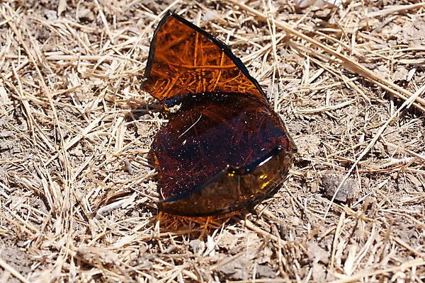 포토 JPG 해외이미지 잎 유리 사람없음 갈색 쓰레기 버리기 낭비 깨짐 땅바닥 해외202004 해외포토 식물 컬러 컨셉 모션 재질 바닥 파일형식 이미지허브