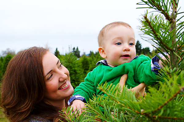 포토 JPG 해외이미지 나무 아들 어린이 크리스마스 2 가족 엄마 휴가 사람 소년 야외 두명 초록색 농장 아기 걸음마 해외202004 해외포토 식물 기념일 남자 컬러 농업 관계 모션 파일형식 이미지허브