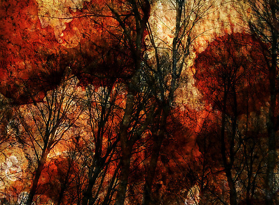 포토 JPG 해외이미지 선 백그라운드 패턴 표면 추상 미술 사람없음 목재 빨간색 빛 갈색 노란색 검은색 소리 페인트 거친 낟알 묘사 부식 질감 모음 그런지 화상 환각 해외202004 해외포토 나무 컬러 무늬 재료 문화예술 한글 상처 증상 파일형식 이미지허브