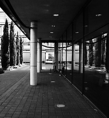 포토 JPG 해외이미지 건축물 건축양식 창문 유리 흑백 사람없음 건물 반사 자전거 램프 발판 미루나무 스테인레스 철강 해외202004 해외포토 나무 건축 재질 조명 촬영기법 바이크 파일형식 이미지허브