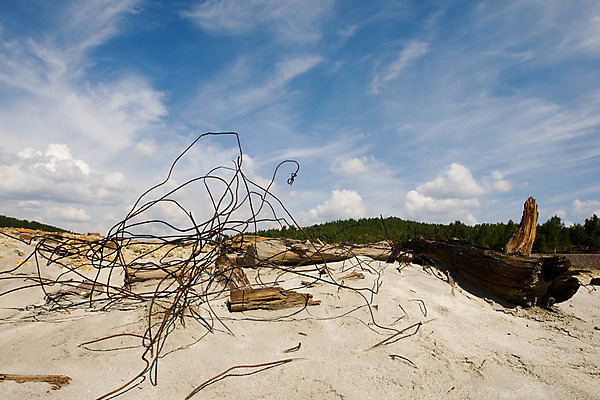 포토 JPG 해외이미지 구름 계절 모래 백그라운드 컨셉 자연 하늘 풍경 사람없음 야외 여름 파란색 모래사장 갈색 쌓기 환경 맑음 침묵 사막 쓰레기 폐기물 파편 큼 땅 버리기 에코 영토 철사 지역 천국 흙더미 내추럴 땅바닥 생태학 옛날 해외202004 해외포토 자연요소 교육 바다 컬러 모션 날씨 바닥 소리 흙 크기 생태계 파일형식 더미 이미지허브