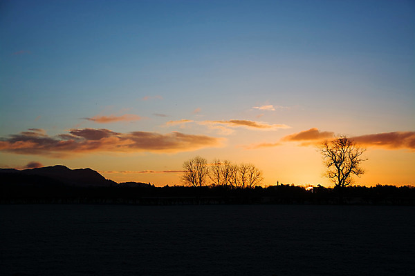 포토 JPG 해외이미지 나무 겨울 밭 오렌지 하늘 아침 사람없음 태양 일출 새벽 나뭇가지 2월 해외202004 해외포토 주간 자연요소 식물 계절 농업 과일 노을 날짜 파일형식 이미지허브