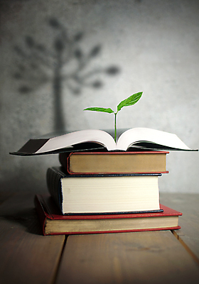 포토 JPG 해외이미지 나무 식물 직업 교육 컨셉 학교 성공 새로움 아이디어 창조 그림자 사람없음 책 스터디 성장 오픈 작음 대학교 사전 모종 해외202004 해외포토 학습 크기 파일형식 이미지허브