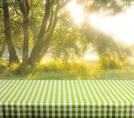 포토 JPG 해외이미지 나무 계절 공원 단풍 잎 자연 탁자 아침 바닥 사람없음 목재 초록색 빛 컬러풀 햇빛 태양 환경 맑음 새벽 안개 광선 가을 정상 숲 에코 체크무늬 내추럴 깅엄 해외202004 해외포토 주간 자연요소 식물 공공시설 컬러 가구 무늬 재료 날씨 생태계 파일형식 이미지허브