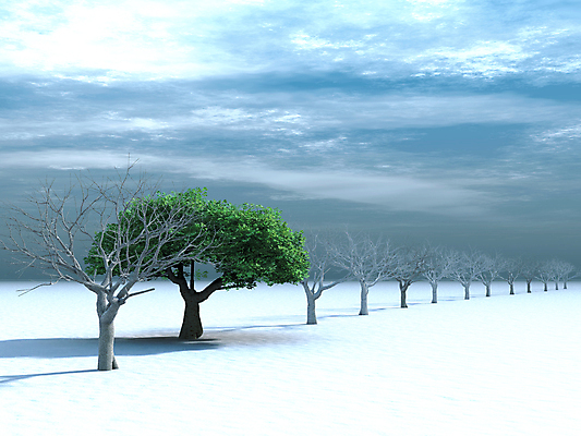 포토 JPG 해외이미지 나무 식물 구름 1 계절 공원 백그라운드 잎 크리스마스 겨울 밭 자연 하늘 풍경 사람없음 야외 초록색 여름 파란색 햇빛 환경 냉동 얼음 침묵 봄 추위 흰색 나뭇가지 시골 죽음 고독 숲 땅 순수 서리 장면 평야 수평선 부족함 해외202004 해외포토 자연요소 공공시설 기념일 감정 컬러 컨셉 농업 태양 소리 생태계 파일형식 이미지허브