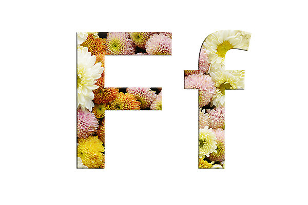 포토 JPG 해외이미지 모양 알파벳 교육 꽃 실루엣 일러스트 캘리그라피 텍스트 표시 대문자 잉크 미술 타이포그라피 사람없음 그래픽 장식 단어 세트 유행 페인트 붓 질문 스케치 편지 수집 흔적 사인 심플 타입 고립 대본 엘리먼트 레터링 스타일 해외202004 해외포토 식물 문자 영어 문화예술 촬영기법 파일형식 이미지허브