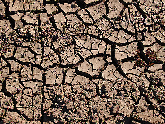 포토 JPG 해외이미지 계절 지구 모래 백그라운드 패턴 자연 표면 날씨 추상 건조 사람없음 야외 갈색 환경 흙 사막 뜨거움 거친 균열 땅 부식 질감 먼지 점토 지역 진흙 가뭄 내추럴 그런지 땅바닥 지질학 해외202004 해외포토 교육 컬러 무늬 모션 바닥 생태계 파일형식 이미지허브