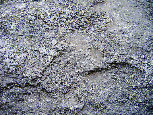 포토 JPG 해외이미지 벽 백그라운드 패턴 건축양식 표면 날씨 추상 사람없음 검은색 페인트 회색 흰색 도시 거친 역사 부식 질감 복고 시멘트 구식 그런지 방법 석고 옛날 콘크리트 회복 노화 효과 해외202004 해외포토 건축 컬러 컨셉 무늬 파일형식 이미지허브