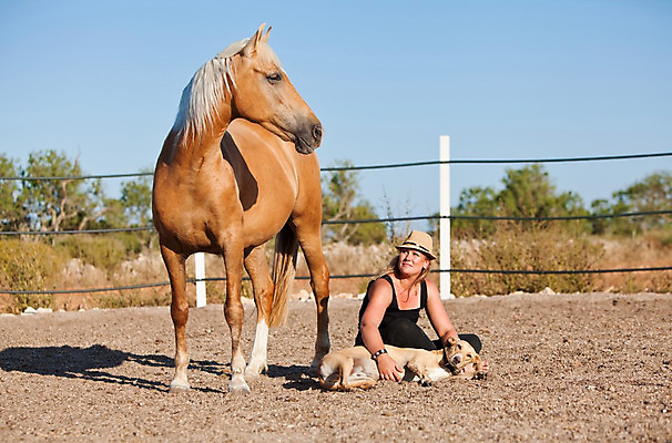포토 JPG 해외이미지 동물 라이프스타일 여자 교육 모래 스포츠 포즈 운동화 이동 밭 통신 모션 자연 함께함 한명 사람 야외 울타리 달리기 농장 목장 흰색 시골 작업 승마 스페인 땅 주인 기르기 해외202004 해외포토 1 유럽 컬러 신발 컨셉 농업 생활 담장 생태계 돌봄 파일형식 이미지허브