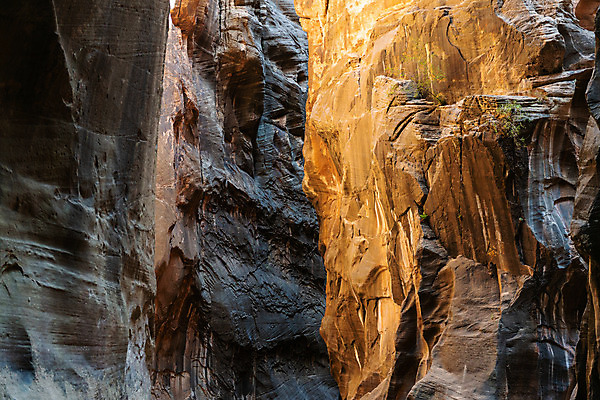 포토 JPG 해외이미지 공원 벽 여행 북아메리카 자연 숙이기 풍경 사람없음 야외 물 강 환경 계곡 미국 산책 땅 부식 좁은 방문 목각 깊이 서쪽 시온산 전국 세련 해외202004 해외포토 자연요소 공공시설 포즈 휴식 아메리카 방향 생태계 파일형식 이미지허브