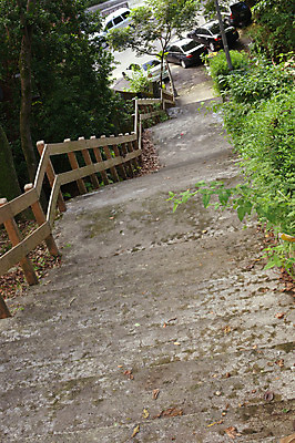 포토 JPG 해외이미지 나무 식물 계절 공원 잎 자연 휴식 풍경 사람없음 야외 장식 초록색 여름 계단 환경 정원 봄 산책 바위 신선 계획 오르기 상록수 단계 내추럴 옛날 많음 해외202004 해외포토 공공시설 컬러 컨셉 모션 돌_바위 생태계 파일형식 이미지허브