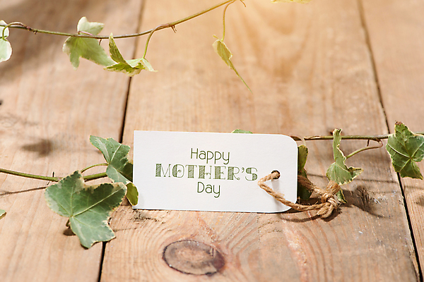 포토 JPG 해외이미지 실내 사람없음 꼬리표 덩굴 나무바닥 노끈 어머니의날 나무배경 해외202004 해외포토 식물 기념일 줄 백그라운드 바닥 내부 라벨 미국문화 파일형식 이미지허브