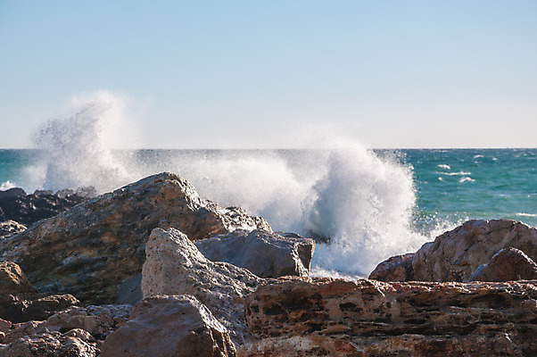 포토 JPG 해외이미지 구름 야생동물 파도 바다 여행 백그라운드 자연 갈매기 조류 하늘 휴가 풍경 사람없음 야외 물 파란색 컬러풀 햇빛 맑음 침묵 자유 흰색 만 서핑 암초 내추럴 터키석 수평선 해외202004 해외포토 자연요소 동물 컬러 컨셉 날씨 태양 소리 수상스포츠 보석 생태계 파일형식 이미지허브