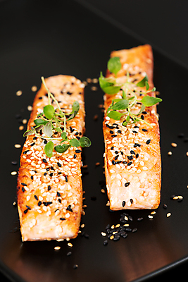 포토 JPG 해외이미지 접시 음식 검은배경 요리 사람없음 튀김 깨 연어 연어구이 해외202004 해외포토 식기 백그라운드 식재료 어류 검은색 조미료 생선구이 파일형식 이미지허브