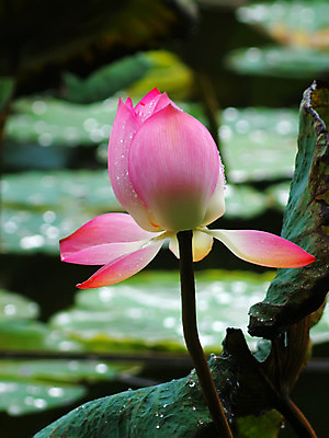 포토 JPG 해외이미지 사람없음 해외202004 해외포토 파일형식 이미지허브