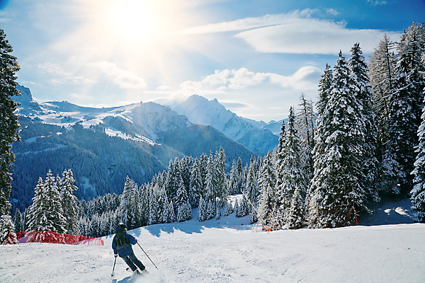 포토 JPG 해외이미지 나무 계절 유럽 겨울 자국 자연 하늘 날씨 스키 산 풍경 경사 사람없음 야외 빨간색 파란색 빛 햇빛 태양 계곡 맑음 이탈리아 추위 숲 휴양지 알프스 스키선수 상록수 침엽수 전나무 선로 절정 해외202004 해외포토 자연요소 식물 나라 컬러 겨울스포츠 운동선수 장소 생태계 파일형식 이미지허브
