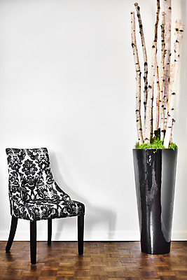 포토 JPG 해외이미지 나무 디자인 벽 가구 의자 건축양식 표면 부동산 새로움 바닥 아파트 주택 실내 사람없음 내부 목재 장식 소파 우주 공백 방 수확 골동품 흰색 나뭇가지 재산 플랫 클래식 고급 자작나무 리빙 바로크 빅토리아 스타일 카피스페이스 해외202004 해외포토 식물 건축 컬러 생활용품 컨셉 농업 재료 건물 금융 파일형식 이미지허브