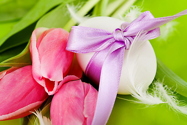 포토 JPG 해외이미지 식물 전통 디자인 계절 꽃 리본 꽃다발 백그라운드 잎 꽃무늬 자연 휴가 부활절 선물 사람없음 장식 초록색 빛 컬러풀 계란 보라색 축제 봄 튤립 벚꽃 껍질 흰색 축하 직물 신선 신용카드 고리 심볼 깃털 오브젝트 활 매듭 내추럴 해외202004 해외포토 기념일 컬러 컨셉 무늬 금융 알 생태계 파일형식 이미지허브