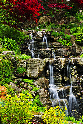 포토 JPG 해외이미지 나무 식물 공원 꽃 선 단풍 자연 휴식 동양인 풍경 사람없음 야외 물 여름 컬러풀 평화 정원 일본 침묵 고요 봄 폭포 가을 바위 연못 개화 떨어짐 순수 원예 조경 암초 내추럴 해외202004 해외포토 자연요소 계절 공공시설 아시아 컬러 컨셉 잎 인종 취미 소리 돌_바위 생태계 파일형식 이미지허브