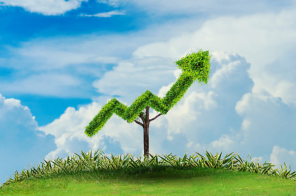 포토 JPG 해외이미지 나무 식물 아이콘 손 백그라운드 컨셉 잎 돈 농업 비즈니스 자연 성공 그래프 추상 화살 새로움 씨앗 사람없음 초록색 금융 환경 힘 성장 흰색 시장 캔 보호 목표 냄비 주식 예측 방향 사인 투자 상승 이익 진행 개발 돌봄 생태학 수입 자금 해외202004 해외포토 교육 산업 컬러 무늬 모션 신체부위 경제 재산 솥 생태계 파일형식 이미지허브