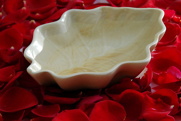 포토 JPG 해외이미지 모양 기념일 꽃잎 꽃 분홍색 결혼 컨셉 잎 휴식 건강 사람없음 빨간색 물 장미 스파 목욕 흰색 신선 도자기 사발 피부 순수 아로마 아로마테라피 해외202004 해외포토 자연요소 식물 컬러 이벤트 신체부위 청결 사기그릇 테라피 파일형식 이미지허브