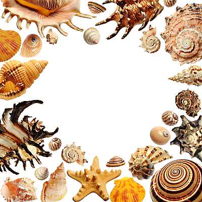 포토 JPG 해외이미지 디자인 별 모래 파도 바다 백그라운드 컨셉 곡선 자연 휴가 조개 사람없음 야외 여름 컬러풀 환경 껍질 선택 수집 배열 묘사 질감 모음 내추럴 고립 생태학 이국적 파라다이스 많음 해외202004 해외포토 자연요소 계절 교육 선 컬러 어패류 생태계 파일형식 이미지허브