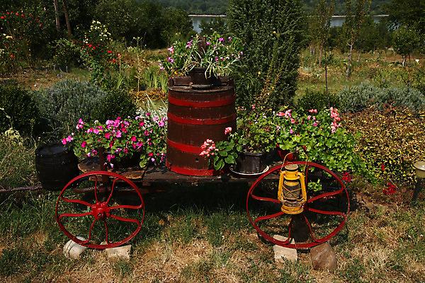 포토 JPG 해외이미지 꽃 자연 사람없음 야외 목재 컬러풀 정원 카트 수확 램프 바퀴 오브젝트 복고 구성 옛날 해외202004 해외포토 나무 식물 컬러 농업 재료 조명 생태계 파일형식 이미지허브