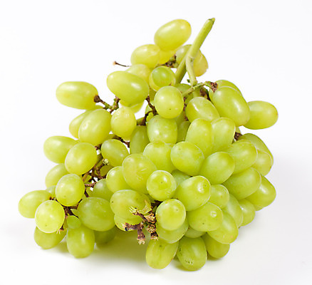 포토 JPG 해외이미지 열매 음식 과일 재료 포도 건강 사람없음 가로 초록색 흰색 신선 달콤 다발 먹기 유기농 날것 고립 숙성 채식주의자 해외202004 해외포토 식물 웰빙 컬러 모션 맛 채식 파일형식 이미지허브