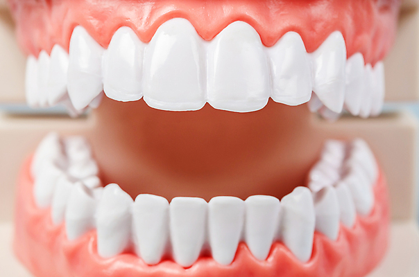 포토 JPG 해외이미지 모델 교육 조각 백그라운드 컨셉 건강 치과 병원 미소 사람없음 치료 스터디 장난감 약 금속 장비 환자 의사 흰색 업무 오픈 입 닫기 치아 보호 플라스틱 치과의사 외과 틀니 고립 미백 보철 철강 해외202004 해외포토 컬러 의학 모션 재질 표정 신체부위 학습 의료진 작업 소화기관 파일형식 이미지허브