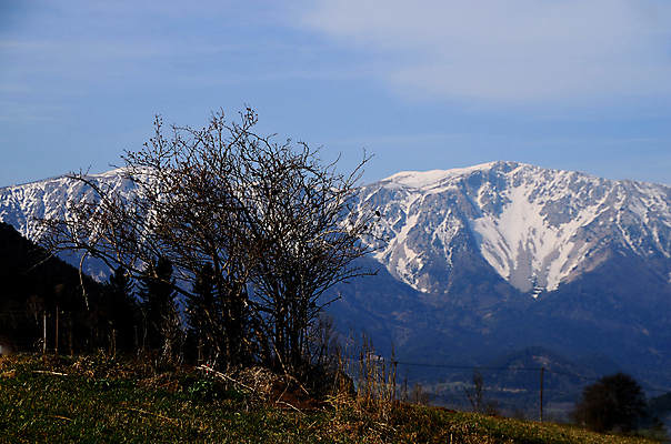 포토 JPG 해외이미지 나무 옷 유럽 산업 스포츠 여행 신발 이동 자연 하늘 휴가 산 부츠 건강 사람없음 야외 운동 자전거 일몰 트래킹 하이킹 장비 자유 헬멧 시력 상승 바둑 산악가 산악자전거 치유 해외202004 해외포토 식물 나라 컨셉 놀이 레저 노을 바이크 보호장비 생태계 파일형식 이미지허브