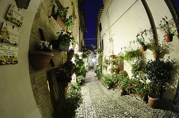 포토 JPG 해외이미지 나무 외관 꽃 벽 백그라운드 건축양식 창문 하늘 지붕 날씨 주택 사람없음 야외 건물 목재 초록색 파란색 여행객 문 마을 탑 이탈리아 발코니 도시 역사 타일 아치 벽돌담 기념물 천연기념물 올드타운 해외202004 해외포토 식물 건축물 건축 유럽 컬러 재료 벽돌 사람 담장 파일형식 이미지허브