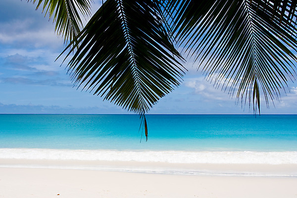 포토 JPG 해외이미지 구름 모래 바다 섬 여행 잎 하늘 휴가 휴식 열대 따뜻함 손바닥 풍경 사람없음 물 여름 파란색 햇빛 여행객 맑음 만 휴양지 세이셸 석호 고립 이국적 터키석 파라다이스 화강암 수평선 해외202004 해외포토 자연요소 식물 손 계절 컬러 컨셉 아프리카 날씨 사람 태양 장소 암석 보석 파일형식 이미지허브