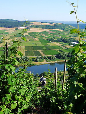 포토 JPG 해외이미지 독일 풍경 사람없음 초록색 파란색 강 해외202004 해외포토 유럽 컬러 파일형식 이미지허브