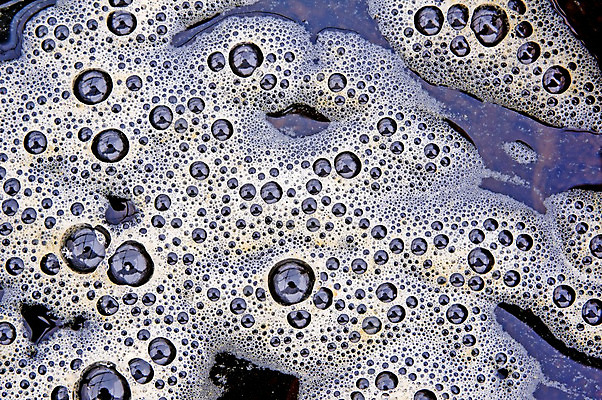 포토 JPG 해외이미지 자연 사람없음 갈색 거품 흰색 원형 은색 먼지 해외202004 해외포토 도형 컬러 생태계 파일형식 이미지허브