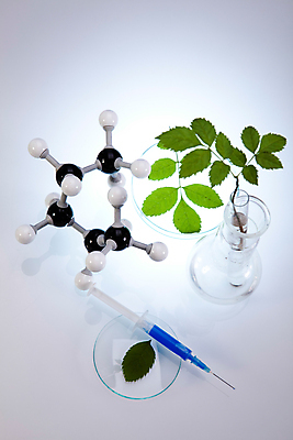 포토 JPG 해외이미지 식물 잎 실내 실험 주사기 액체 화학 실험실 플라스크 흰배경 비커 화학실험 분자구조모형 해외202004 해외포토 과학 백그라운드 의료기기 실험기구 내부 모형 흰색 분자구조 파일형식 이미지허브