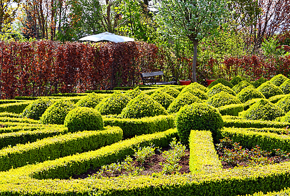 포토 JPG 해외이미지 나무 식물 라이프스타일 공원 꽃 안경 길 백그라운드 잎 창문 자연 하늘 풍경 잔디 사람없음 야외 초록색 여름 파란색 태양 평화 환경 정원 맑음 침묵 봄 재산 조경 진짜 해외202004 해외포토 자연요소 잡화 계절 공공시설 컬러 컨셉 날씨 생활 금융 소리 생태계 파일형식 이미지허브