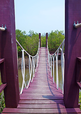 포토 JPG 해외이미지 나무 식물 공원 아시아 길 밧줄 여행 십자가 잎 밭 건축양식 교통시설 태국 자연 동양인 풍경 사람없음 야외 건물 목재 물 환경 산책로 나뭇가지 숲 접속 오솔길 운하 장면 철사 방법 부담 수목 해외202004 해외포토 자연요소 건축물 공공시설 건축 나라 줄 교통 농업 재료 인종 시설 생태계 파일형식 이미지허브