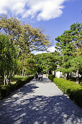 포토 JPG 해외이미지 나무 식물 계절 공원 꽃 도로 길 여행 백그라운드 잎 자연 하늘 거리 풍경 잔디 사람없음 야외 목재 빨간색 초록색 여름 태양 노란색 평화 정원 일본 맑음 봄 산책 가을 나뭇가지 시골 숲 장면 내추럴 강렬 방법 해외202004 해외포토 자연요소 공공시설 아시아 컬러 컨셉 재료 교통시설 날씨 휴식 생태계 파일형식 이미지허브