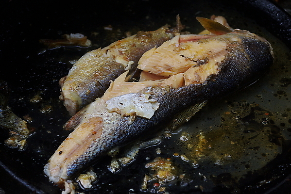 포토 JPG 해외이미지 음식 어류 요리 사람없음 야외 캠핑 튀김 송어 해외202004 해외포토 레저 수중동물 파일형식 이미지허브