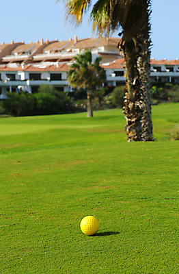 포토 JPG 해외이미지 주간 나무 스포츠 밭 골프 공 휴가 주택 풍경 잔디 사람없음 야외 건물 초록색 야자수 노란색 정원 게임 강의 휴양지 해외202004 해외포토 자연요소 식물 건축물 컬러 농업 놀이 구기 장소 파일형식 이미지허브