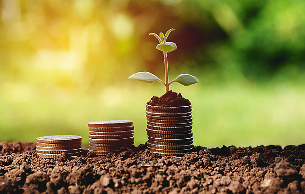 포토 JPG 해외이미지 나무 식물 백그라운드 컨셉 잎 돈 비즈니스 성공 아이디어 사람없음 초록색 금융 경제 동전 성장 재산 심볼 서비스 투자 이익 보물 회계 개발 수입 처음 해외202004 해외포토 컬러 파일형식 이미지허브